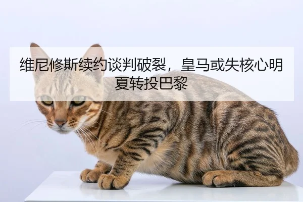维尼修斯续约谈判破裂，皇马或失核心明夏转投巴黎