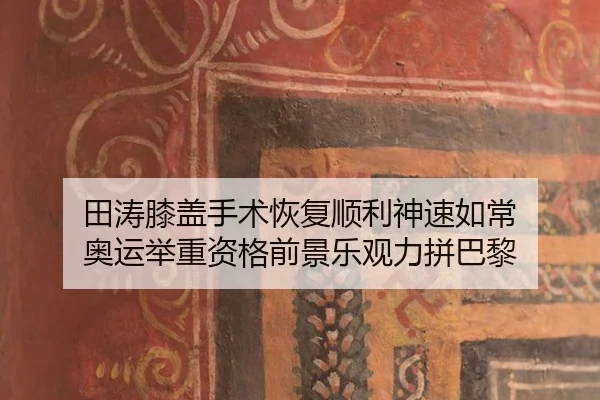 tian-tao-xi-gai-shou-shu-hui-fu-shun-li-shen-su-ru-chang-ao-yun-ju-zhong-zi-ge-qian-jing-le-guan-li-pin-ba-li-2-799.jpg