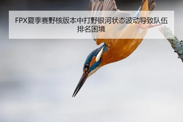 FPX夏季赛野核版本中打野银河状态波动导致队伍排名困境