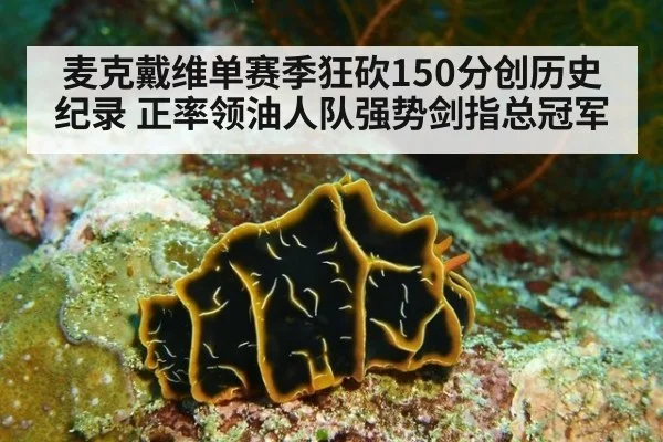 麦克戴维单赛季狂砍150分创历史纪录 正率领油人队强势剑指总冠军