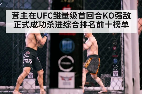 茸主在UFC雏量级首回合KO强敌正式成功杀进综合排名前十榜单